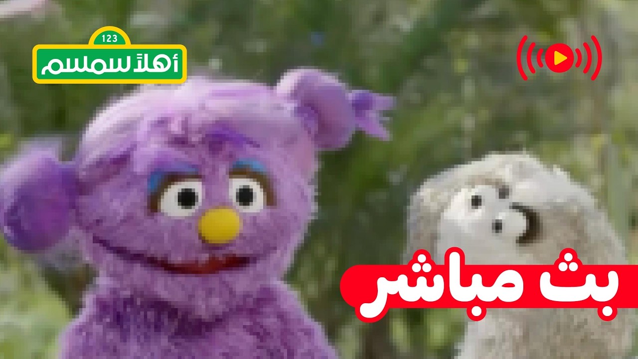 🔴 مباشر: اللطف!