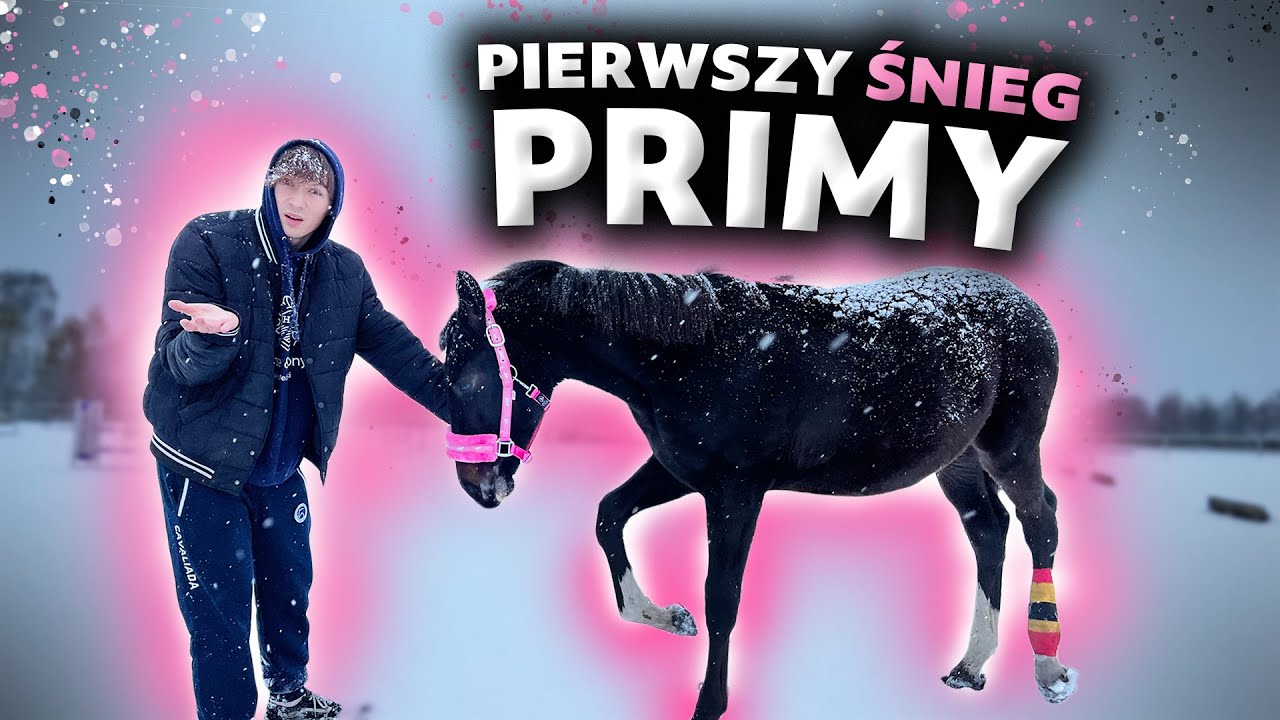 PRIMA PIERWSZY RAZ WIDZI ŚNIEG! 🥶❄️ | DILA SZALEJE W KORYTARZU