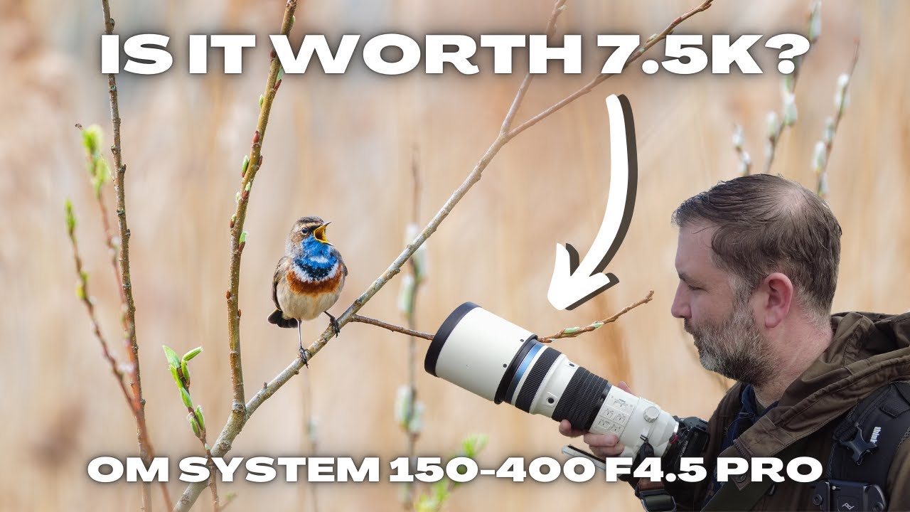 The BEST Micro Four Third Lens? Testing the OM System 150-400 F4.5 Pro on the OM-1 MKII