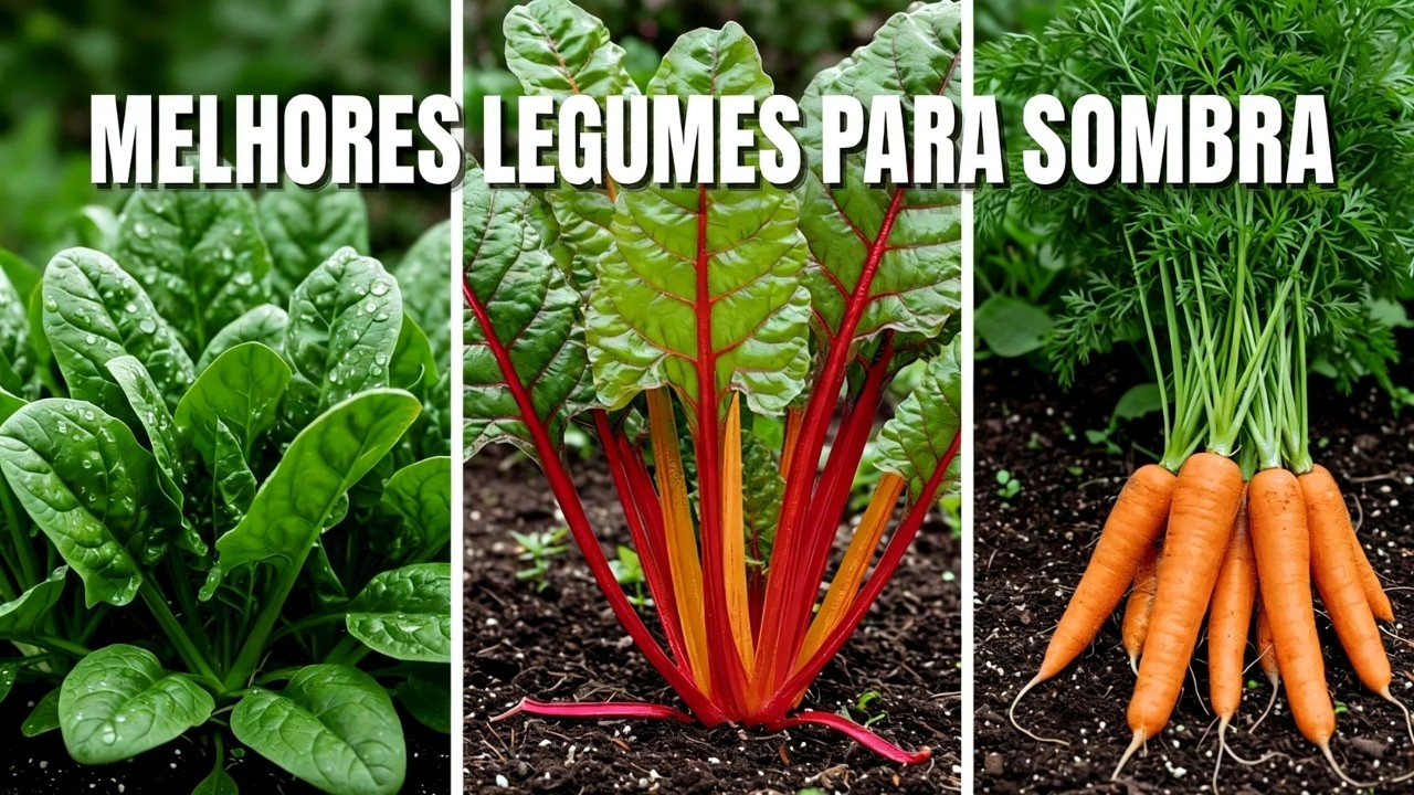 7 Vegetais Perfeitos Que Você Não Sabia Que Prosperam em um Jardim Sombreado 🌿