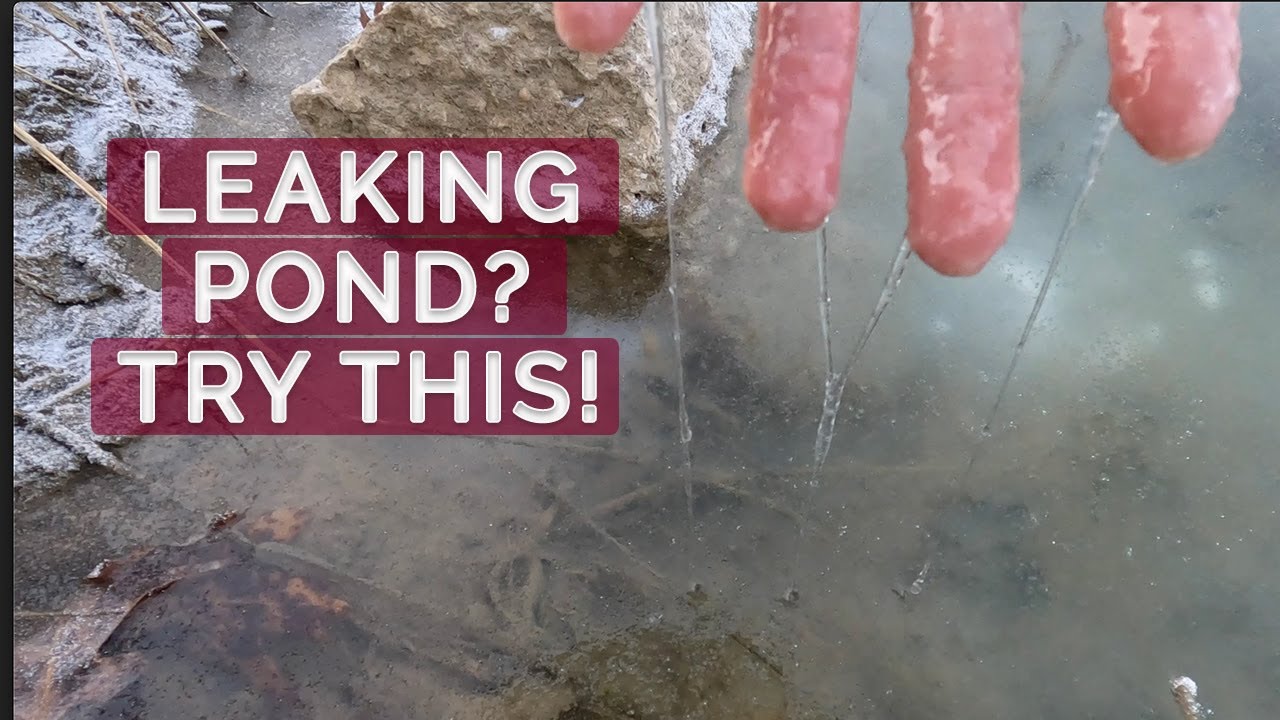 Pond Dam Leak? - DIY Damit Polymer Pond Sealant - Does it Work?