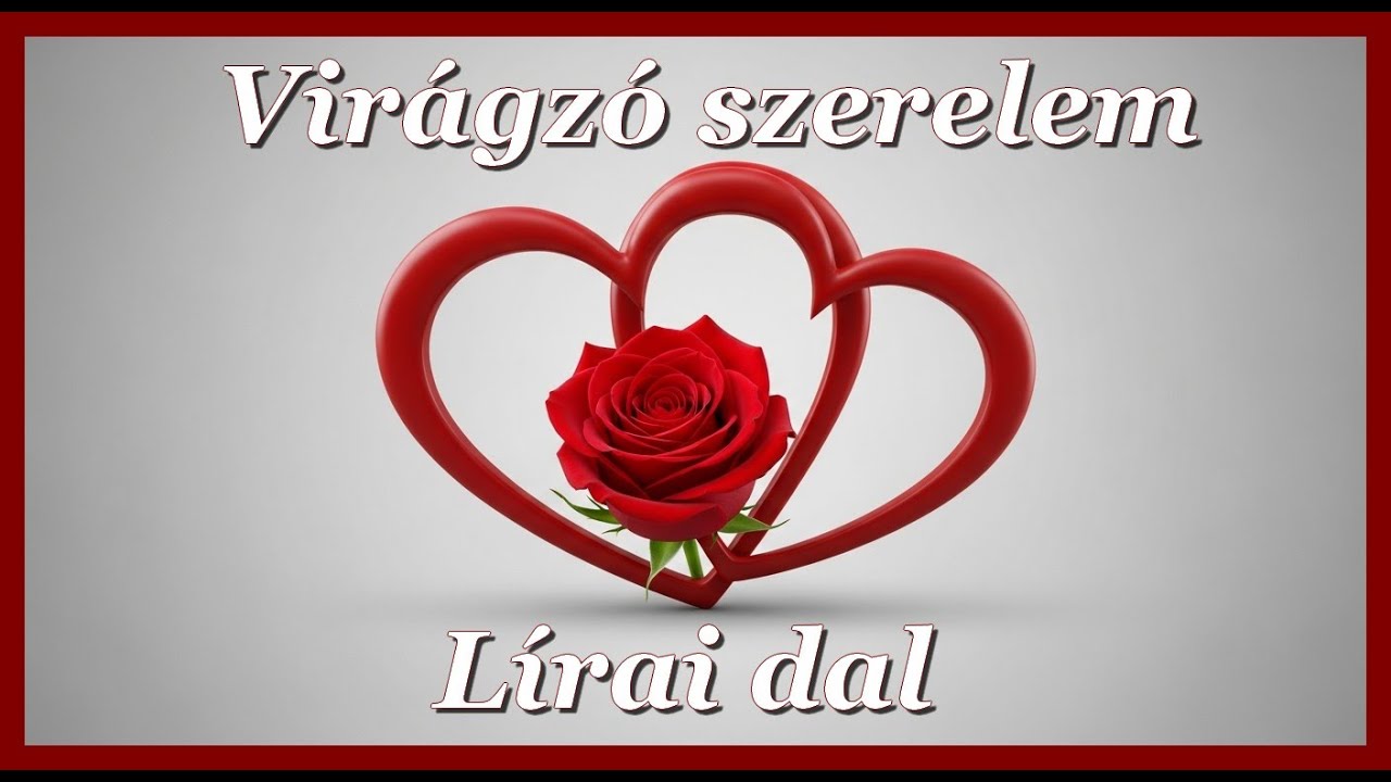Ne kérdezd tőlem mikor, hol hibáztam - LÍRAI DAL