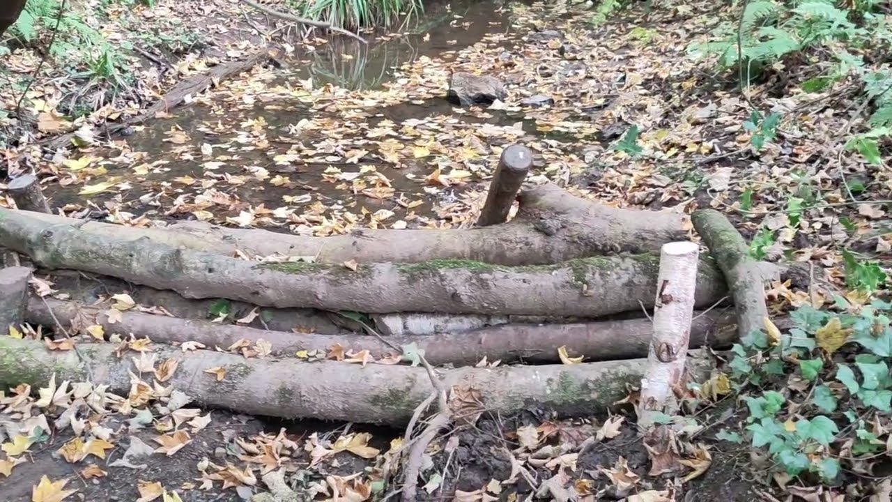 Transforming the Lower Hoopern Valley | Biodiversity, Flood Management & Community Engagement