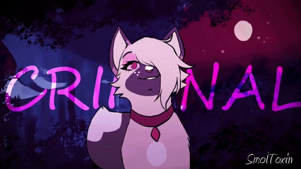 Sasha | Criminal | Warrior cats