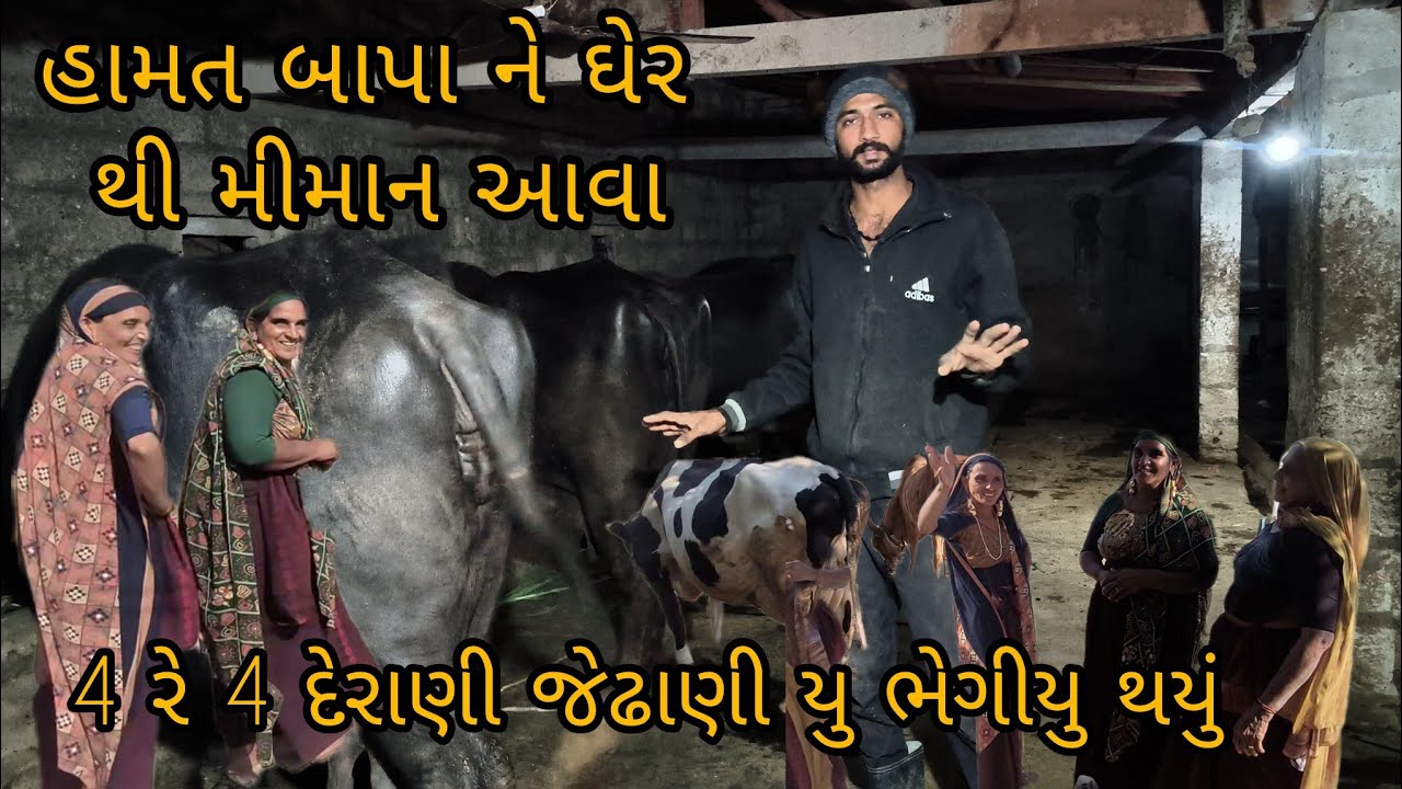 4 રે 4 દેરાણી જેઢાણી યુ ભેગીયુ થયુ ....🙌🙌