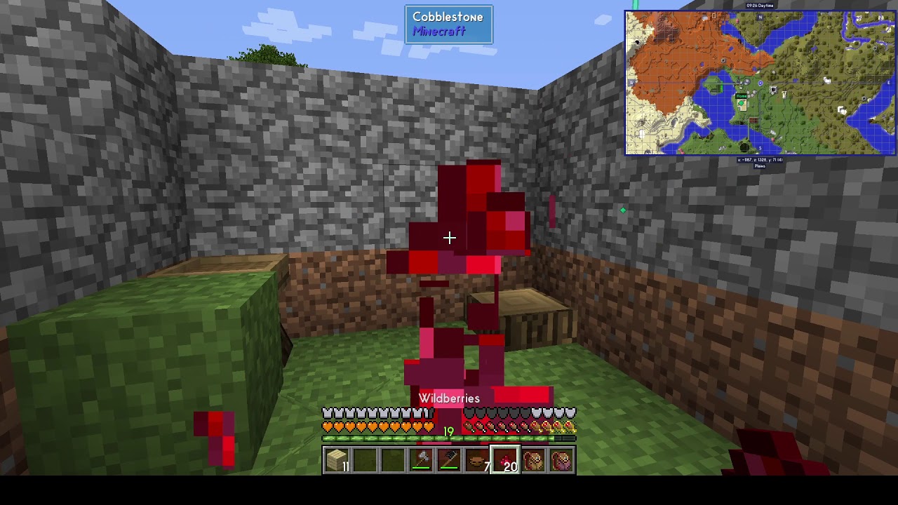 SevTech: Ages Tips Age 0 Addendum