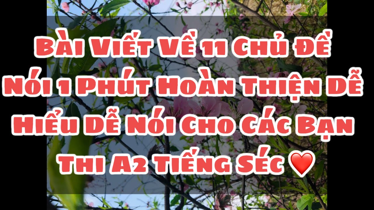 Chia sẻ Bài Viết Về 11 Chủ Đề Nói 1 Phút Thi A2 Dễ Hiểu Dễ Nói Cho Các Bạn Tham Khảo