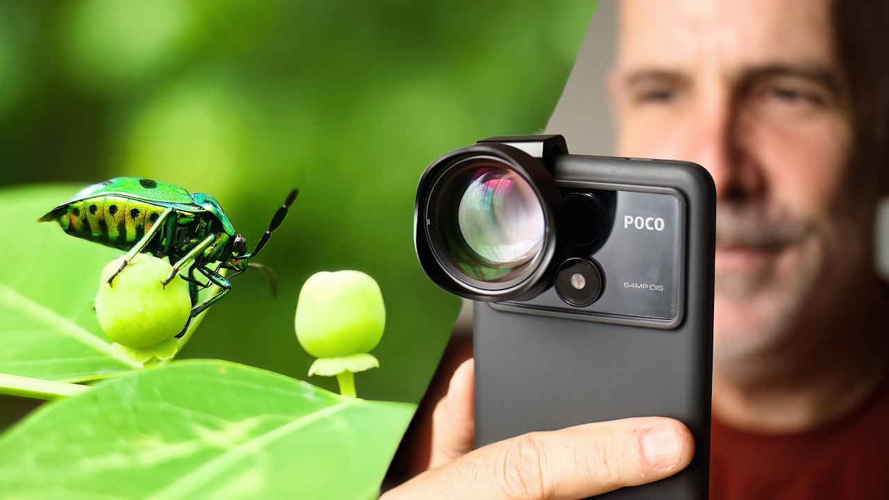 Smartphone MACRO photography with Ulanzi 75mm