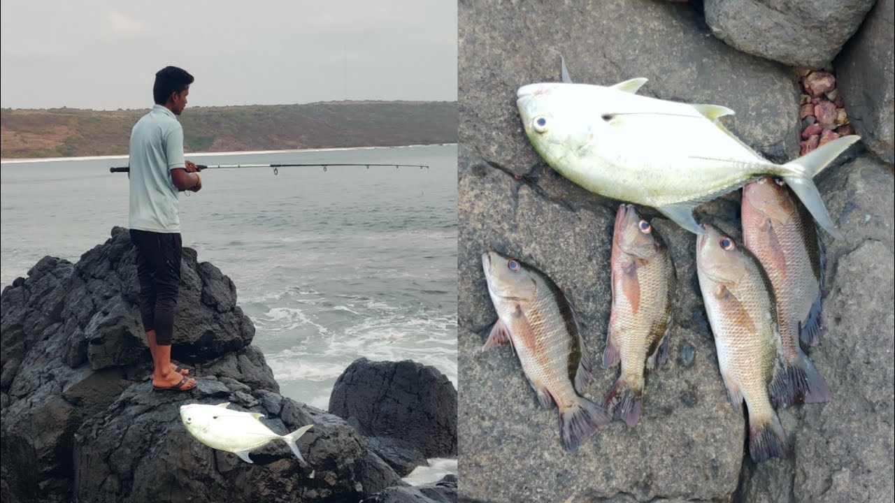 समुद्रावरच्या मासेमारीची धम्माल , रॉड फिशिंग ने पकडले मासे | rod fishing in kokan @TejaGurav