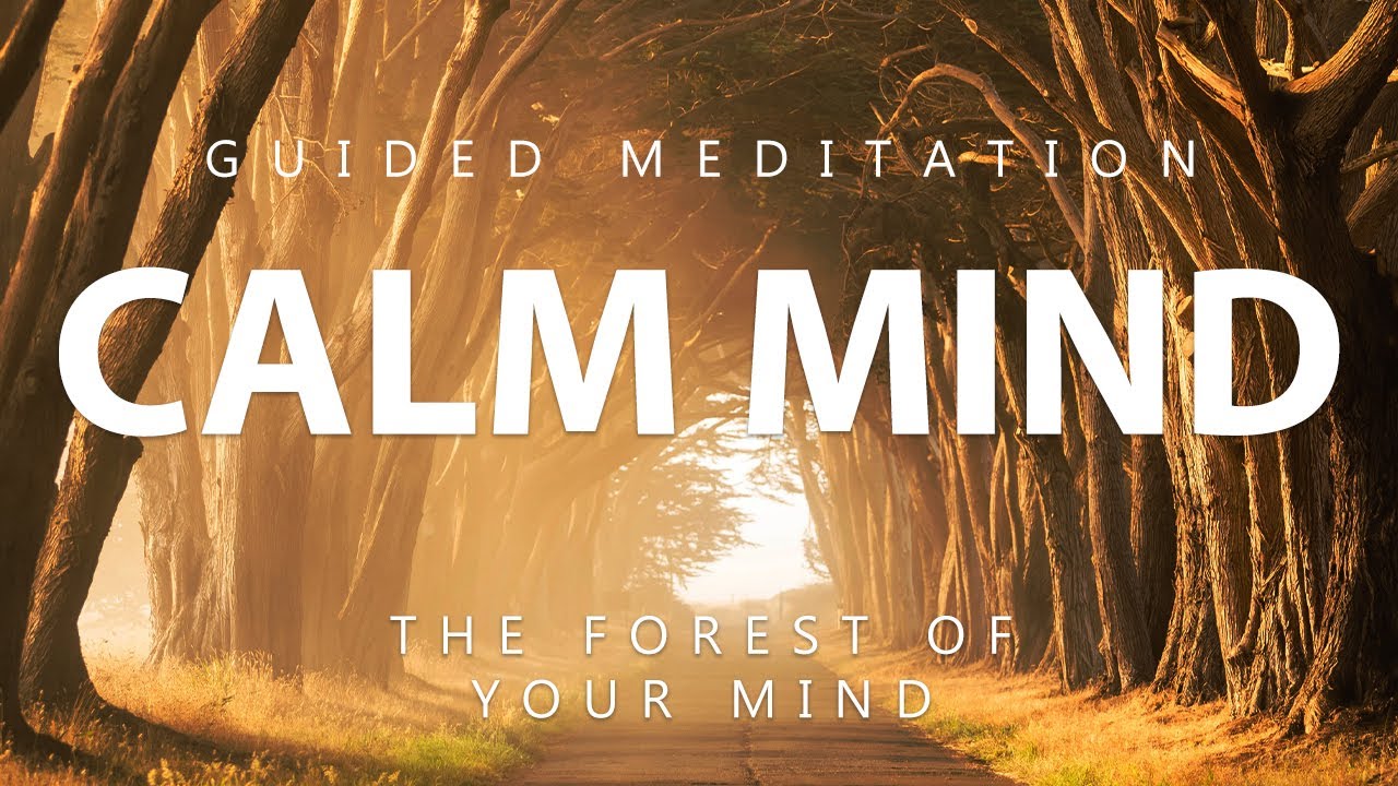 Guided Meditation For Calming The Mind | Clearing Anxiety & Negativity | The Forest Of Your Mind