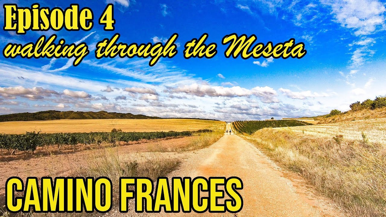 The Camino Frances. Episode 4. The Meseta (days 14-20)