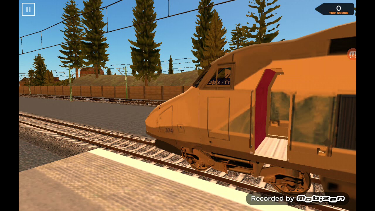 French Train driver