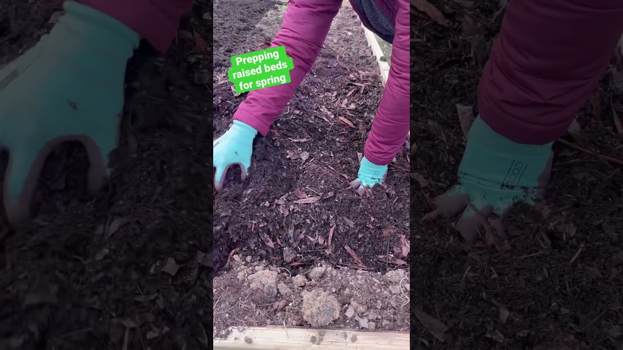 How to prep raised garden beds for spring planting #raisedbedgardening #gardening