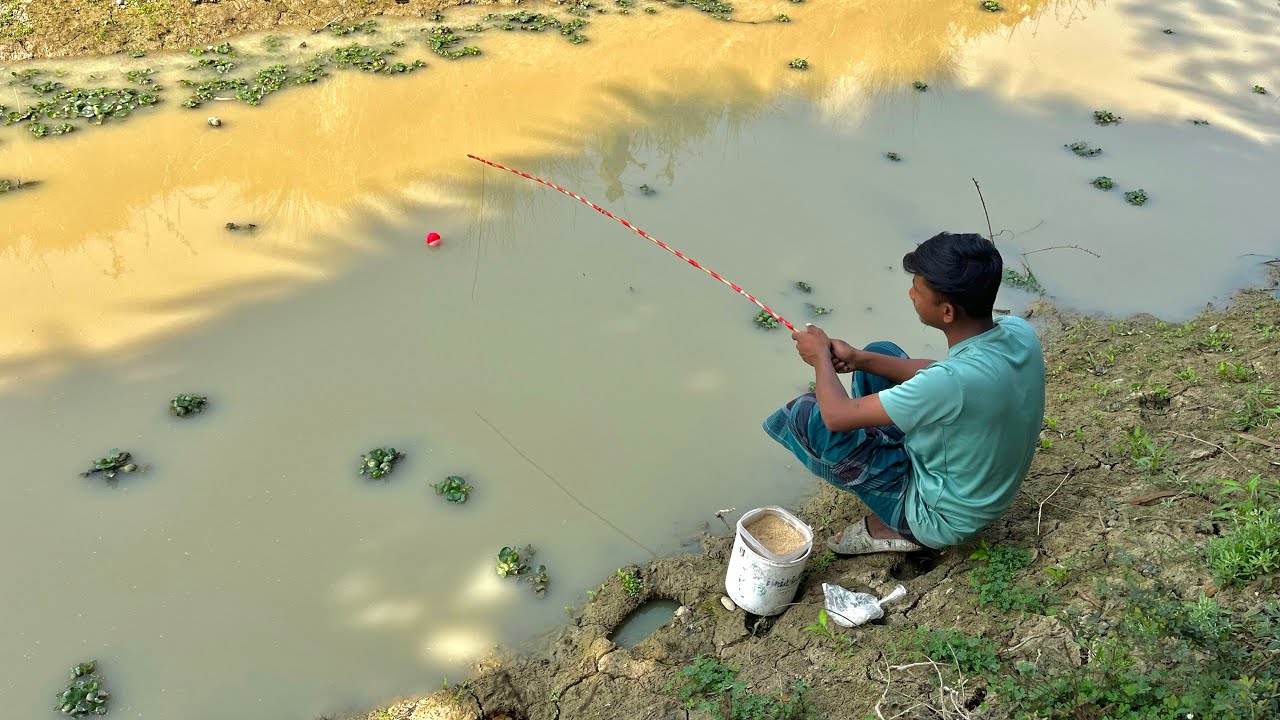 Unbelievable Fish Catching Technique Village Smart Boy Fishing With Fr Village Fishing 