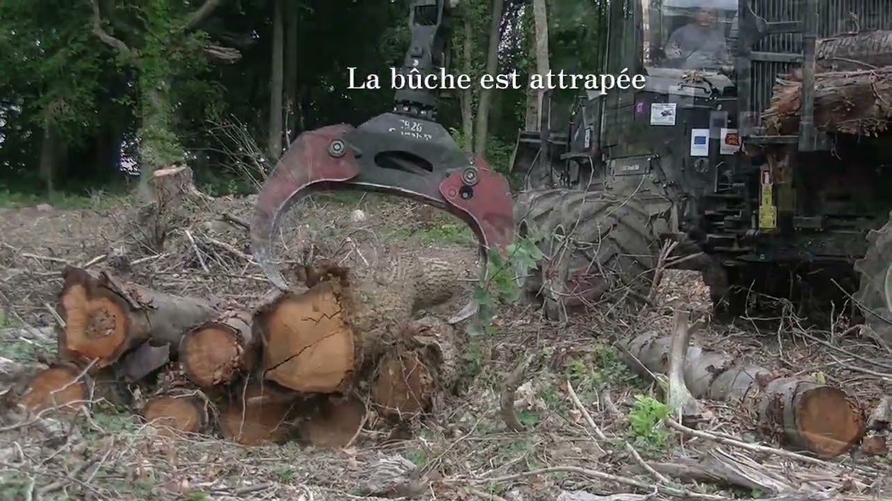 vidéo débardage entreprise christophe delaplace   2025