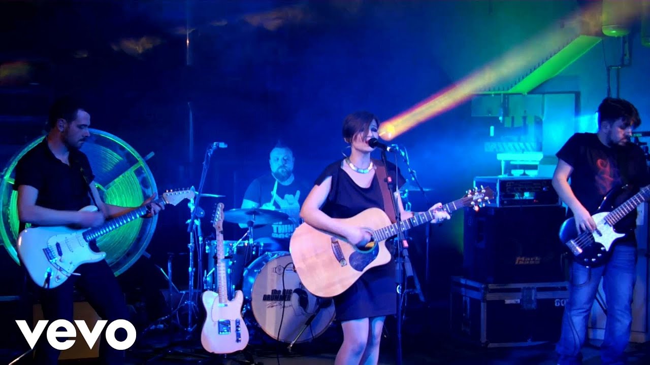 Zois - Alberi e fango (Live)