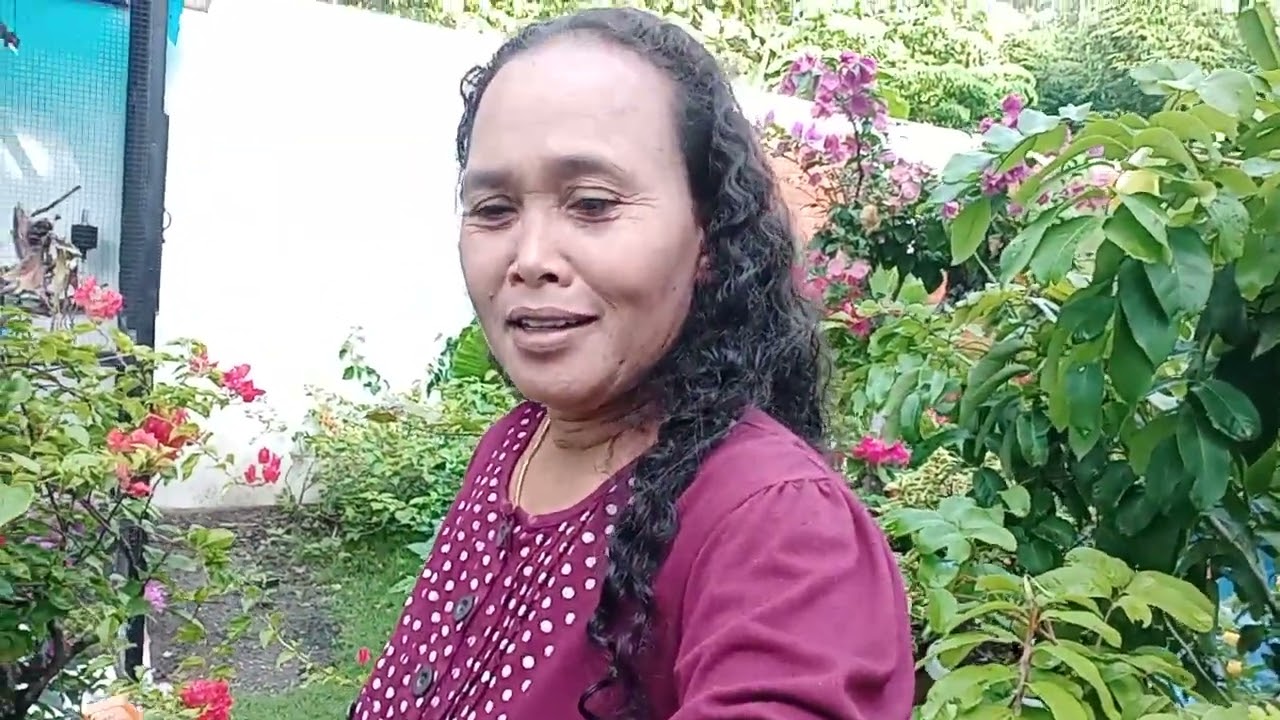 terjun nang taman juga akirya