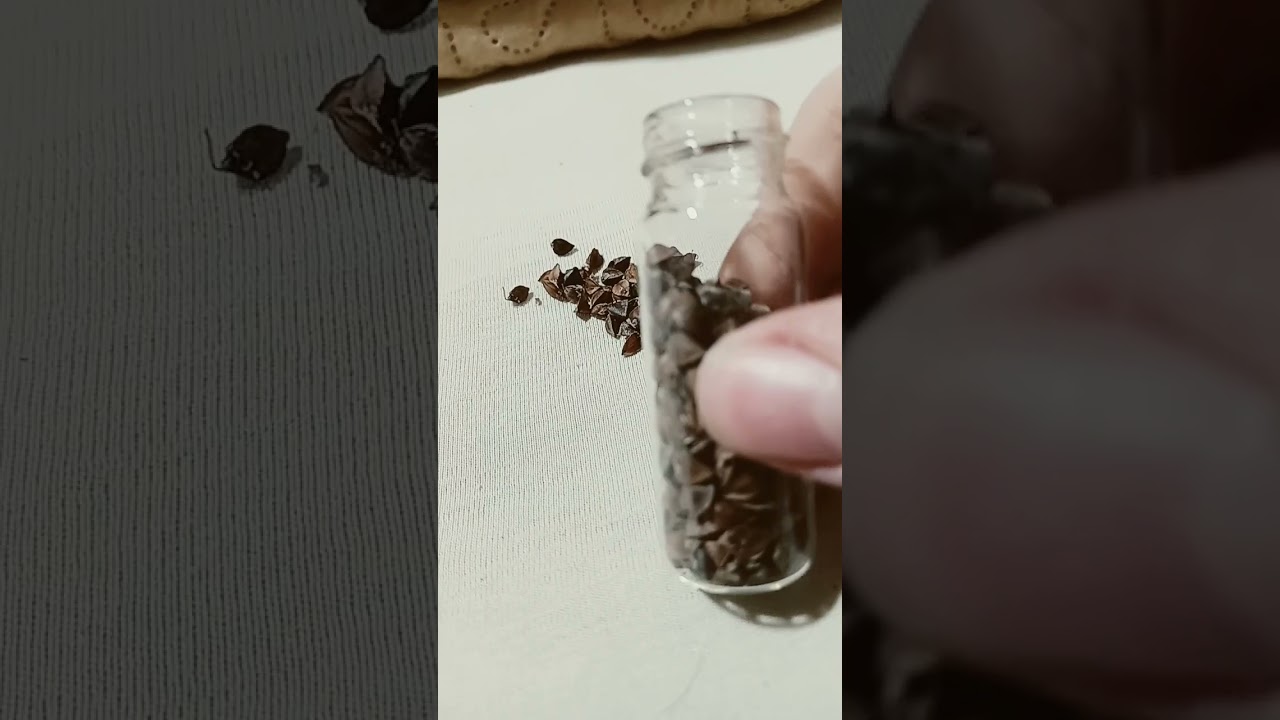 Heljda, ječam, proso, pšenica, ovas i spelta