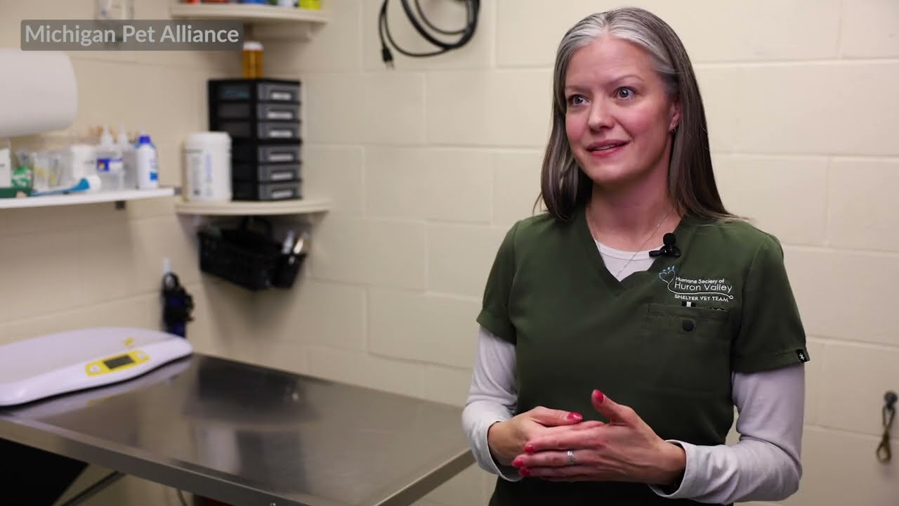 Where can I find more information about bird flu? (part 7 of 7)