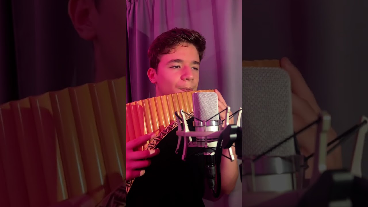 Frank Sinatra - My Way (Panflute Cover)