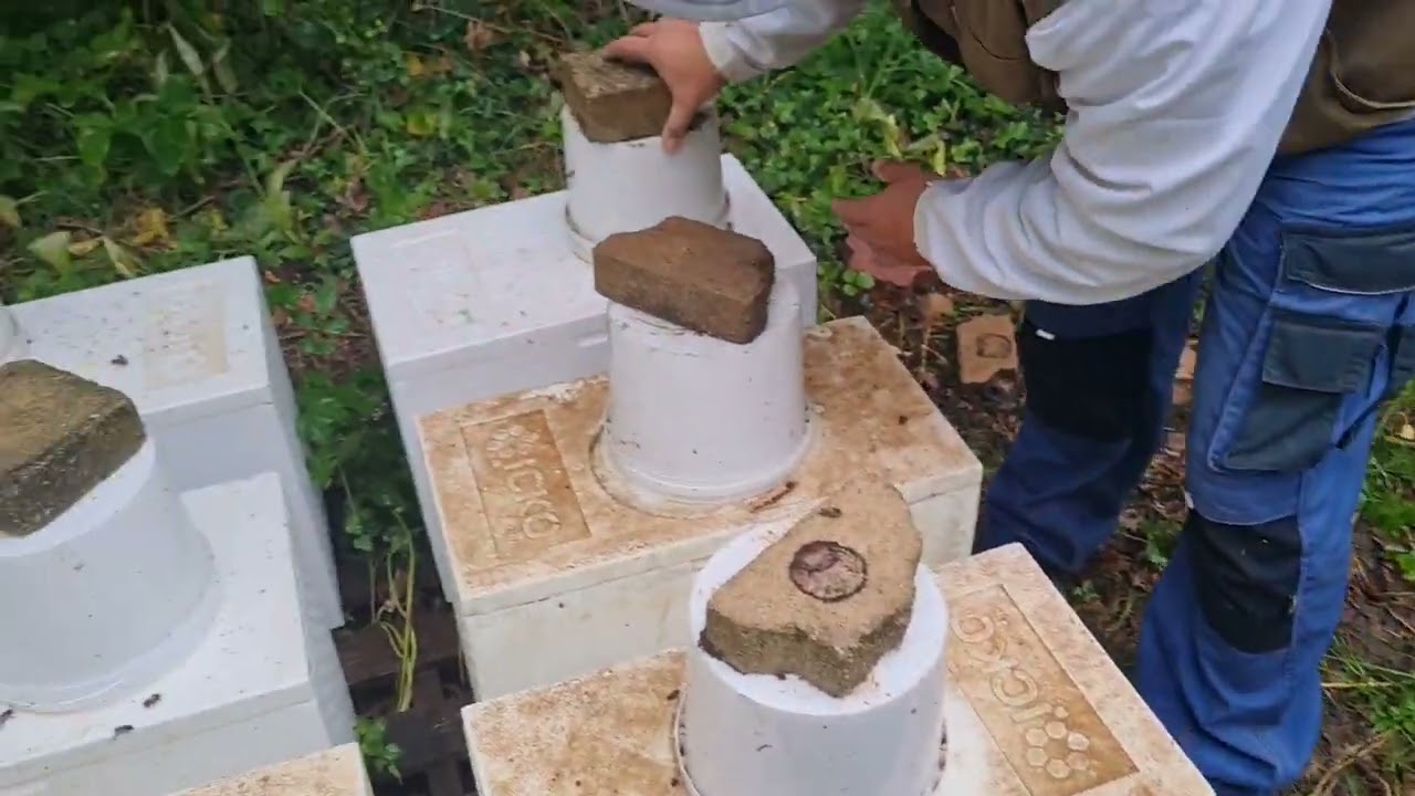 Nourrir avec un sceau