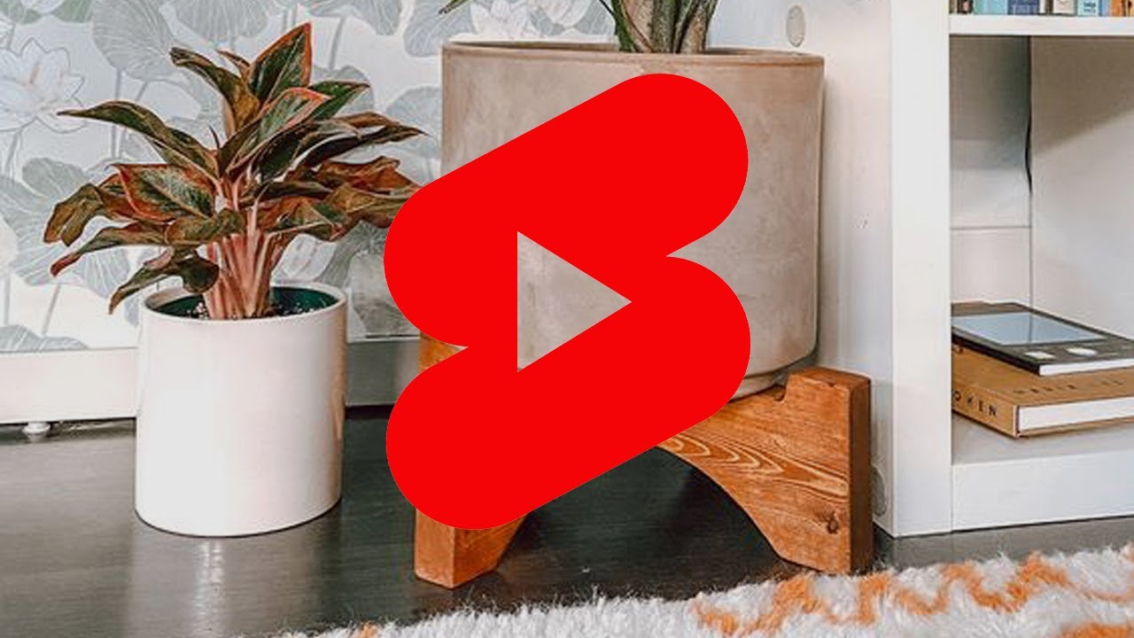 #shorts - super easy diy plant stand