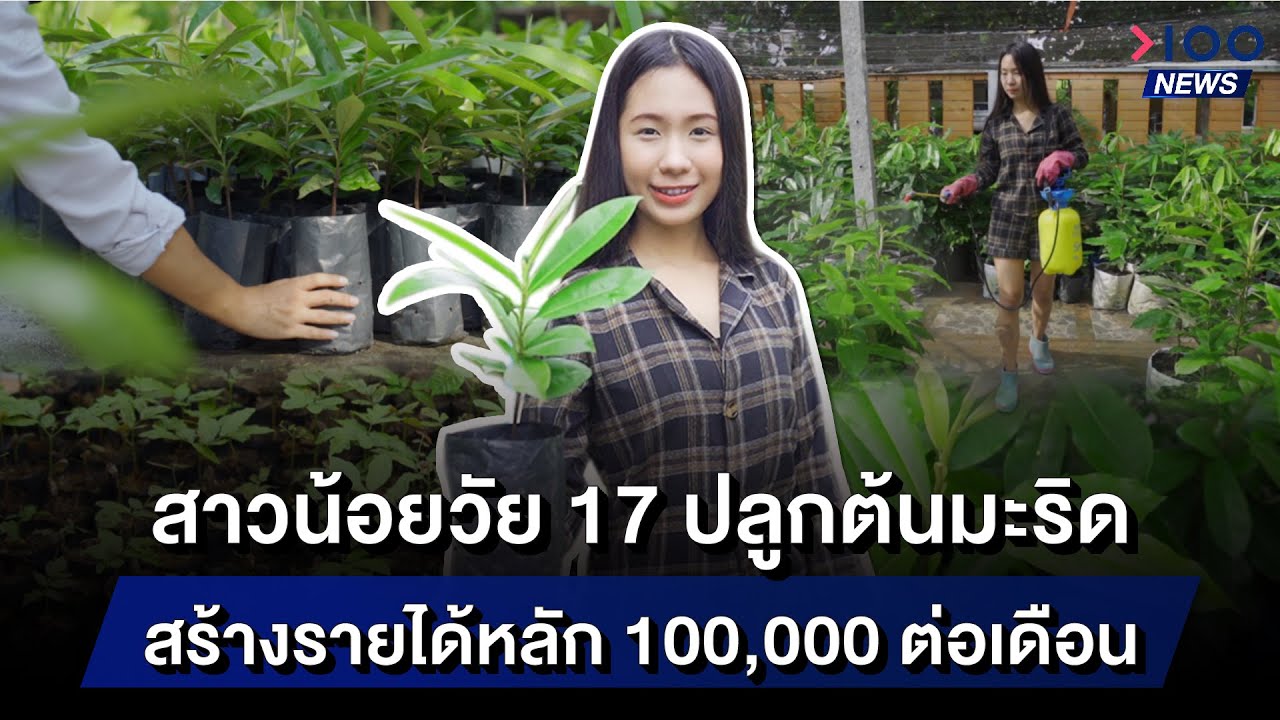 สาวน้อยวัย 17 ปลูกต้นมะริด สร้างรายได้หลัก 100,000 ต่อเดือน | 100NEWS