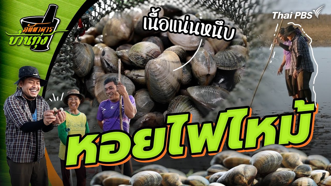 หอยไฟไหม้ | ภัตตาคารบ้านทุ่ง
