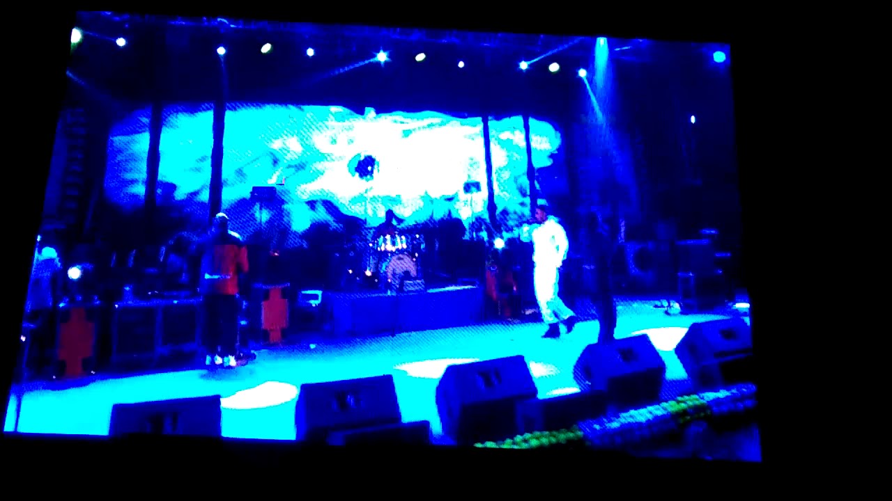 #badshah_ live concert at diamond harbour