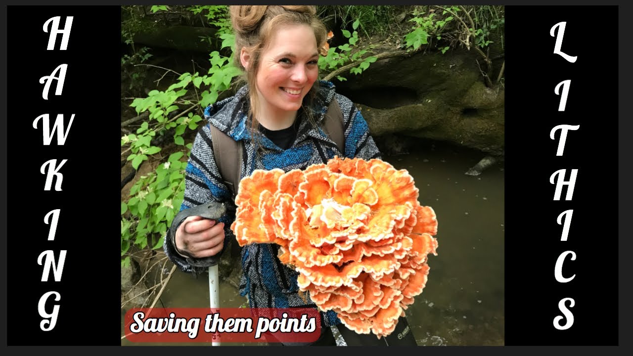 Hawking Lithics #73 Arrowhead Hunting saving them points