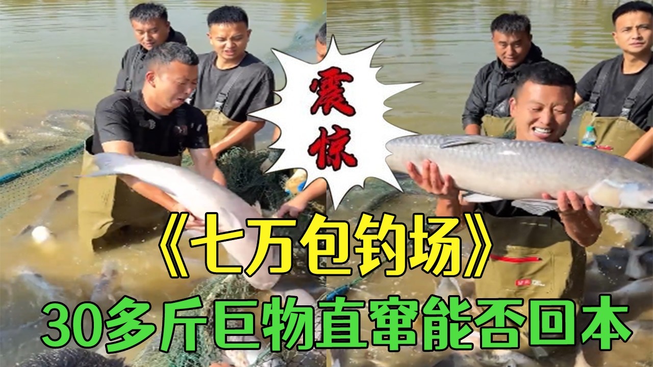 花7萬塊包下壹個釣場，30 多斤巨物直竄能否回本#小飛哥#新農人計劃2026#鄉村守護人#巨物塘#戶外