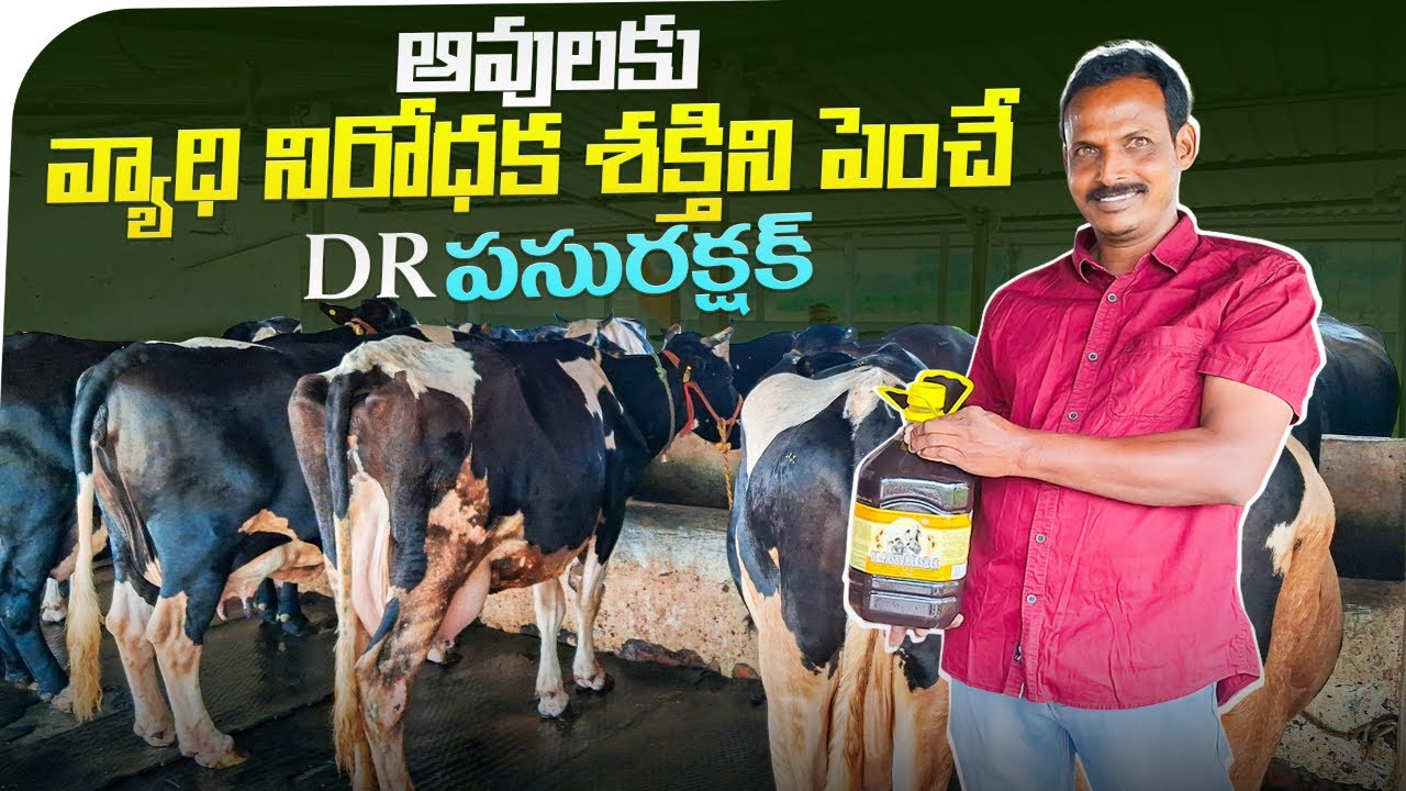 ఆవును కాపాడేది Dr pasurakshak for dairy farm @MalleshAdla