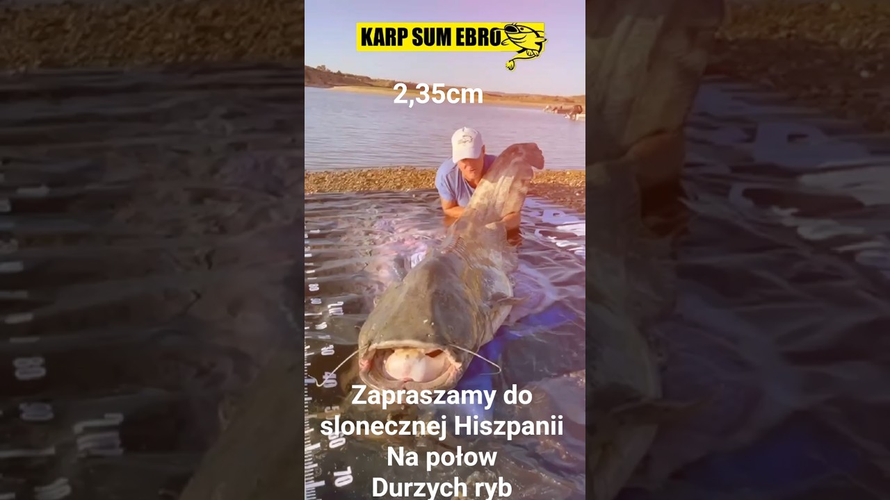 Gorąca Hiszpania ORAZ RZEKA EBRO CZEKA NA WAS ZAPRASZAMY