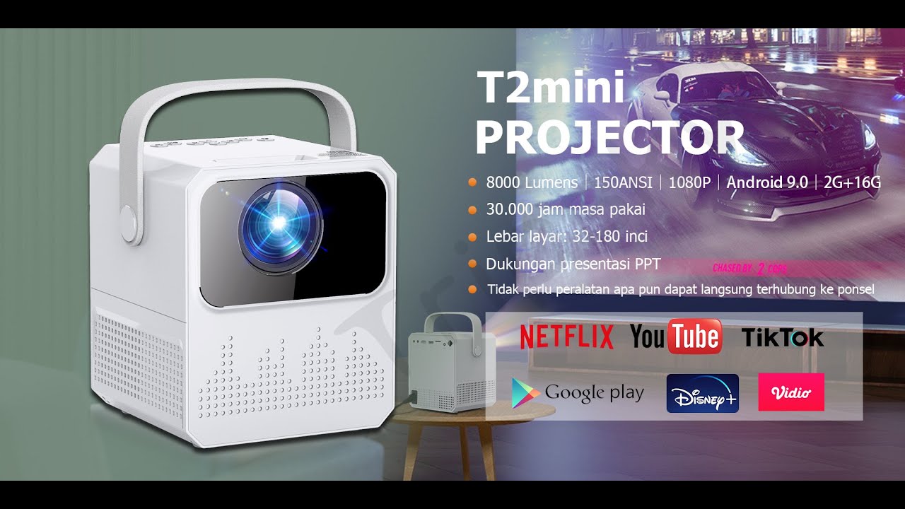 T2mini