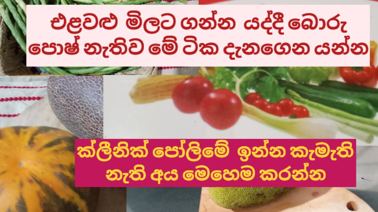 එළවළු  ගන්න  මේවා  දැනගන්න ඕන.