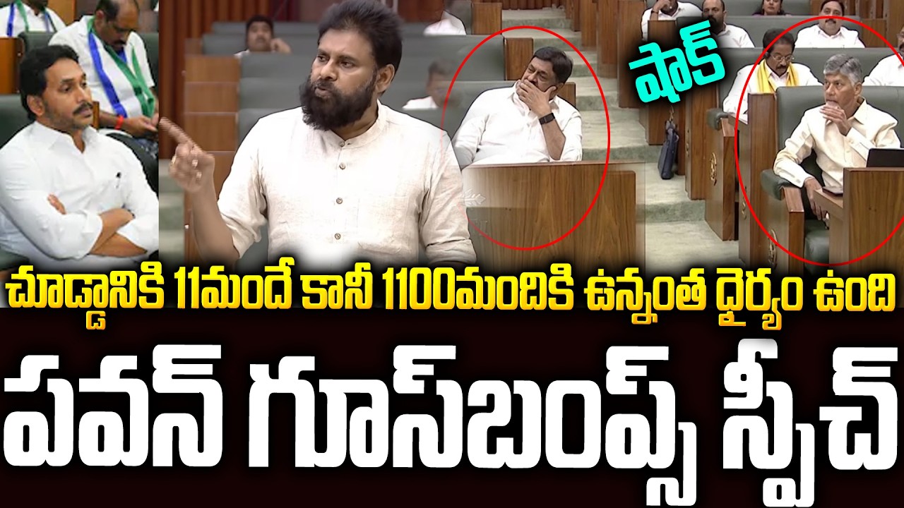 వైసీపీ సభ్యులు 11మంది ఉన్నా..1100 మందితో సమానం🔥#pawankalyan Assembly Speech #ysjagan #chandrababu