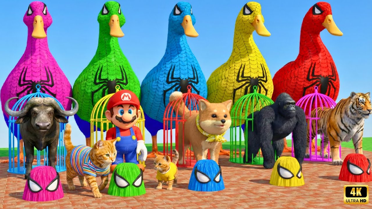 Long Slide Game With Cow Elephant Gorilla Hippopotamus Tiger 3d Animal Game Funny 3d Animals