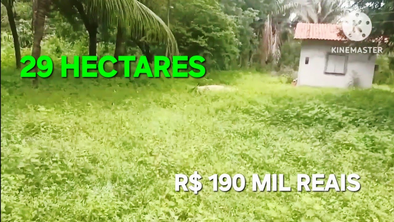 PREÇO REDUZIDO PROPRIEDADE DE 29 HECTARES PROXIMO A JOSÉ DE FREITAS PIAUÍ