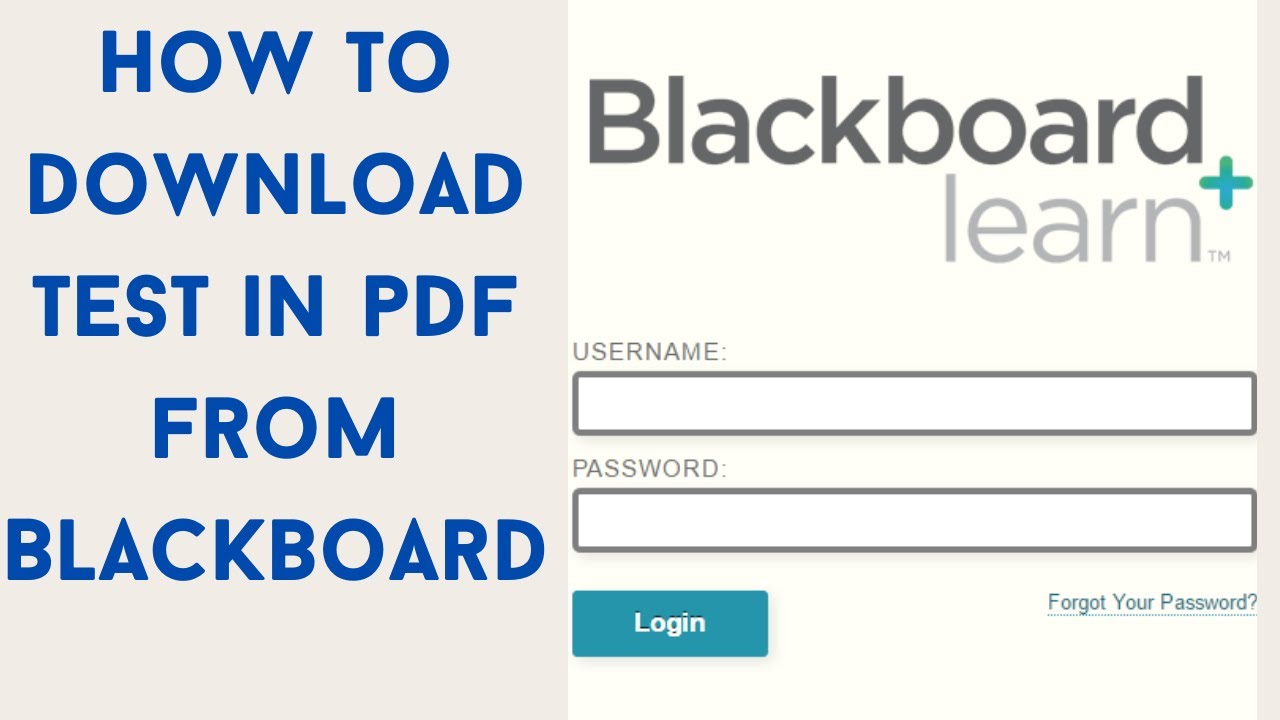 How to download test in pdf from Blackboard