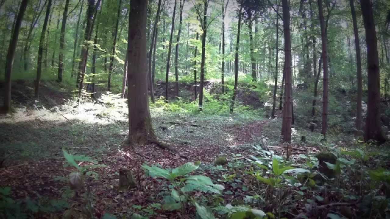 Lauchheim Freeride Trail
