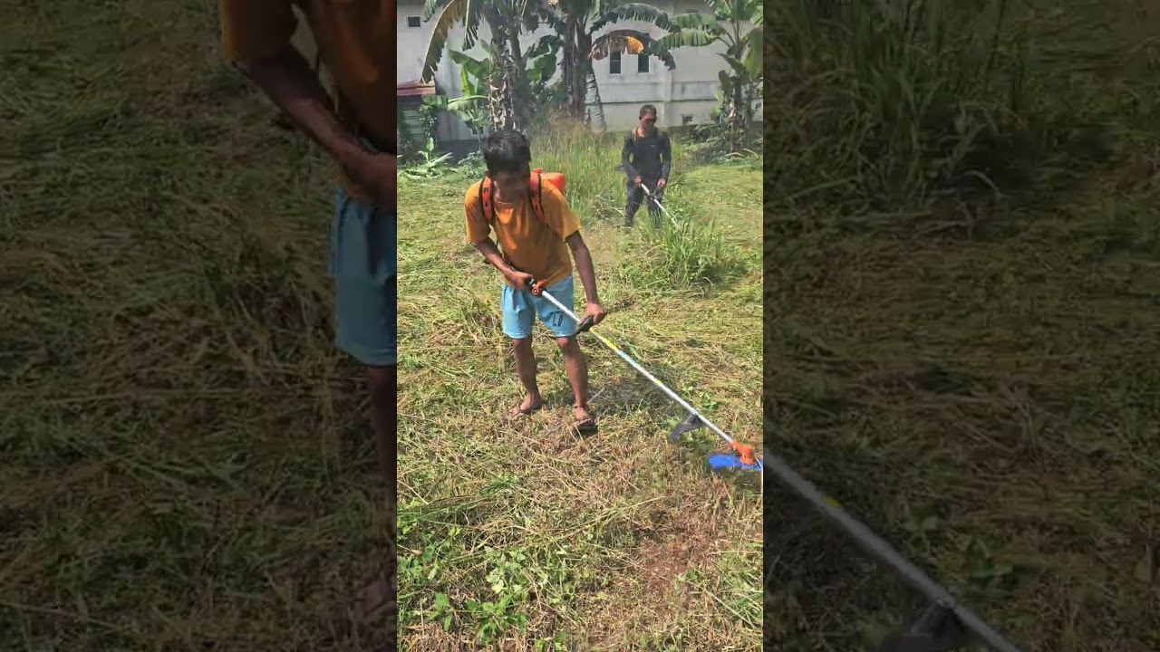 Awal mula pengelolalahan di Gg. Kamboja sawangan
