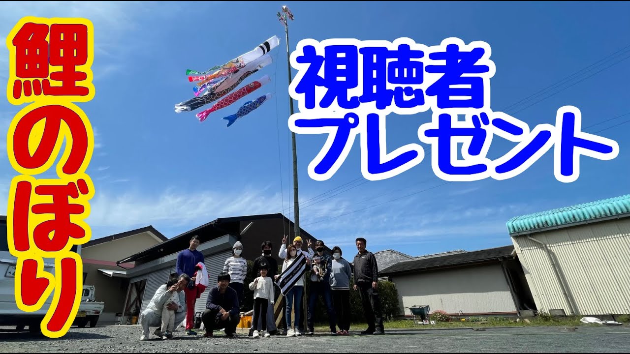 【企画】視聴者様に、鯉のぼりをプレゼント‼️ついでに、お手伝いをしてみた、、Japanese Yakuza Ninkyo