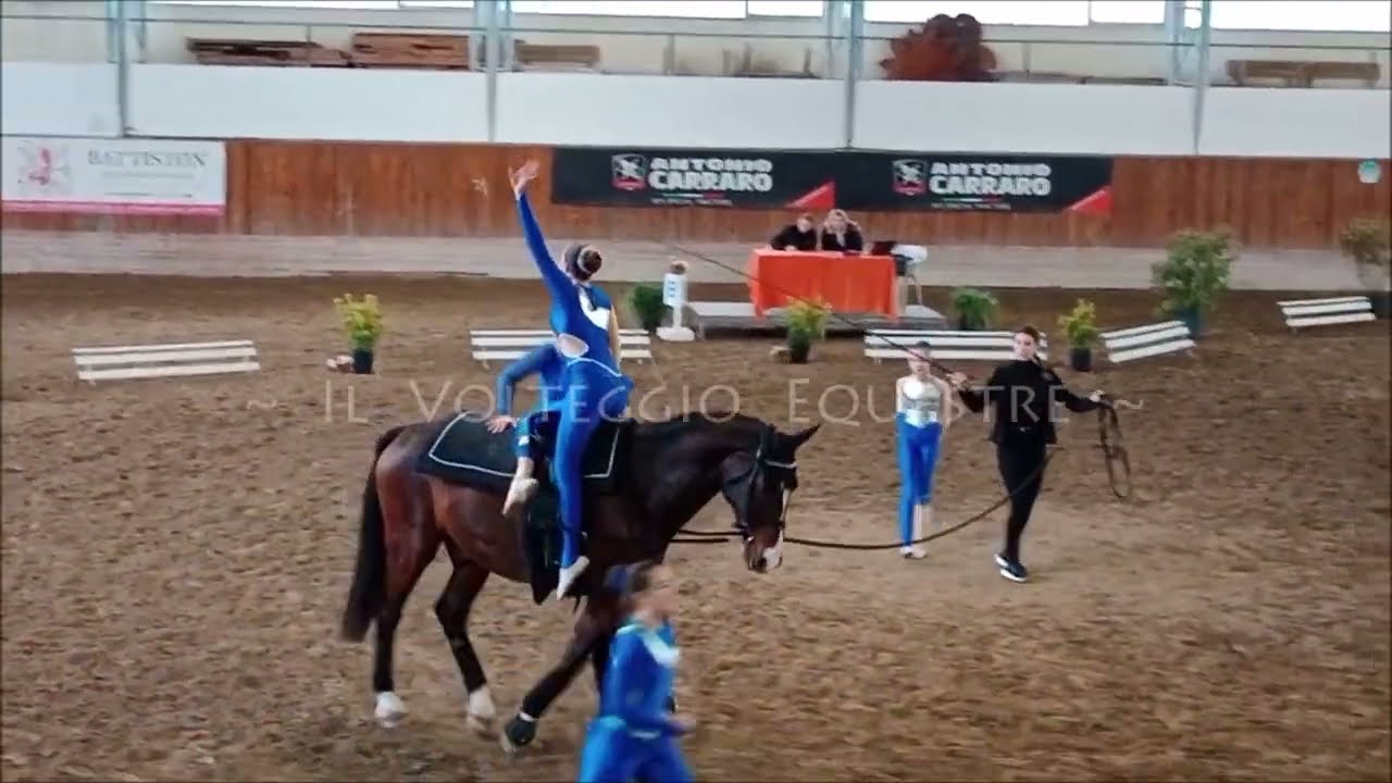CVN Volteggio 2024 - squadra D - 1° Il Cavallo è vita