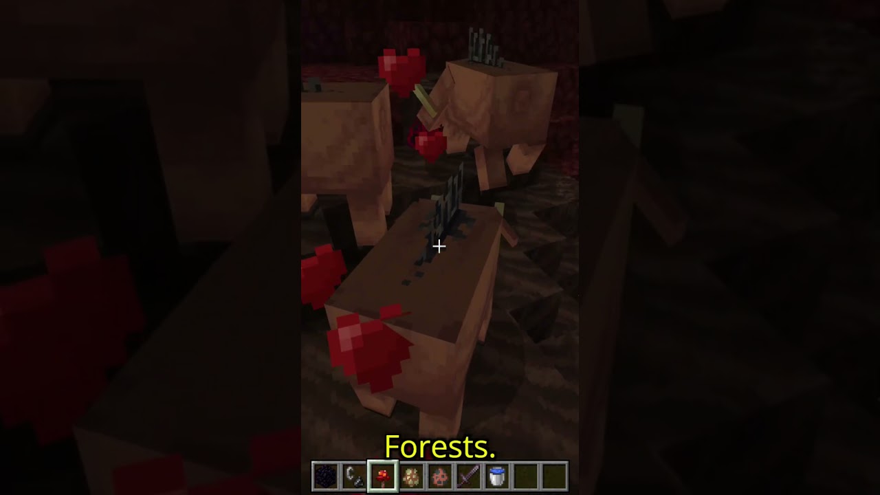 Did you know? Hoglin Minecraft Trivia.