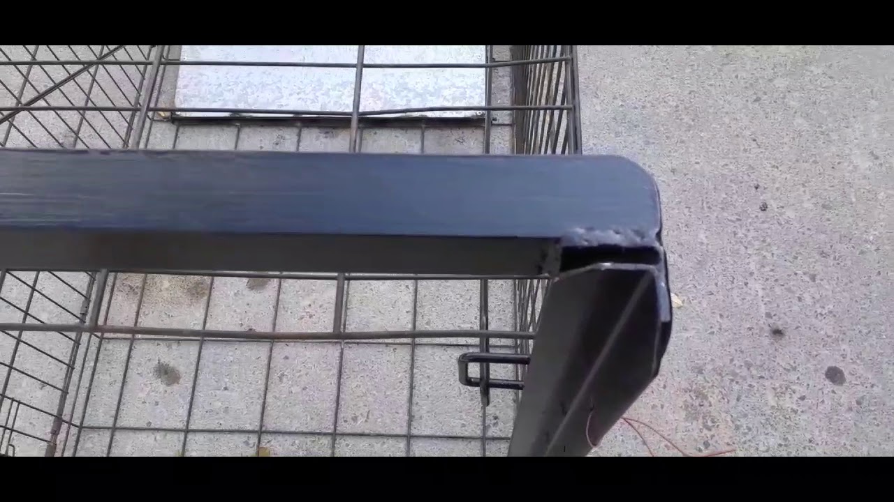 trampa plegable para jabali pecari de collar