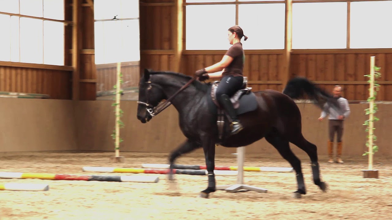 Training mit Pedro Torres