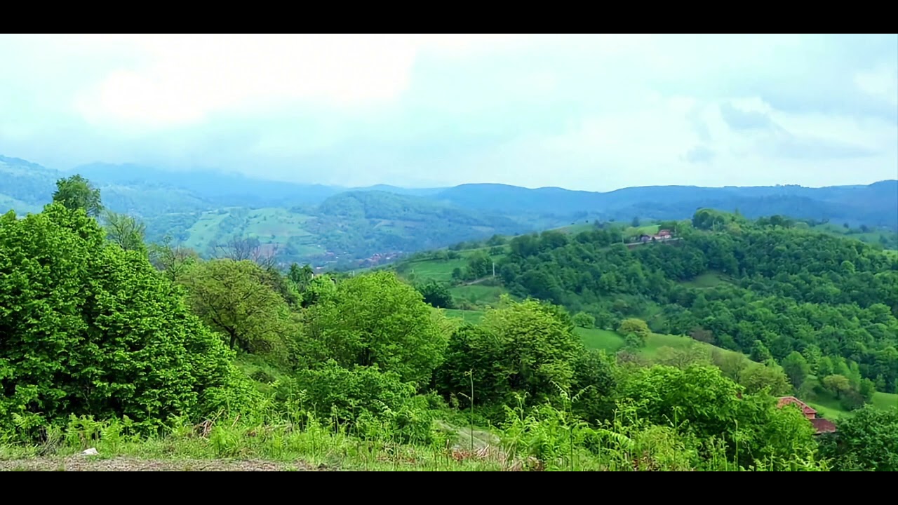 Radu Potoran Eu ma duc la joc pe sate