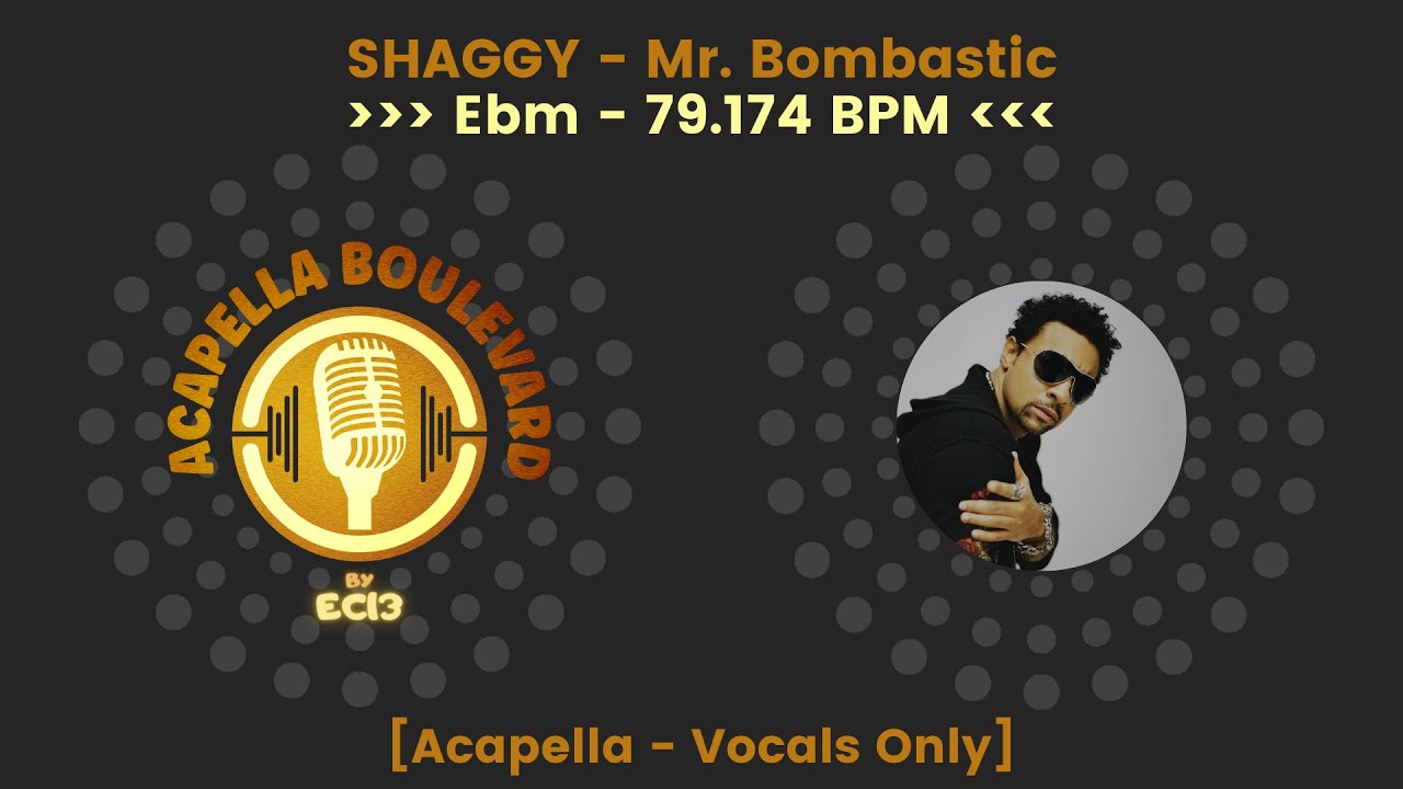 SHAGGY - Mr. Bombastic || [Acapella - Vocals Only] || [79.174 BPM - Ebm] || by EC13