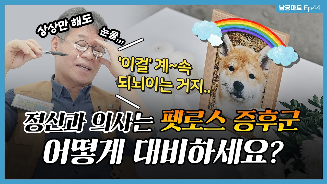13살 노견 키우는 '정신과 의사'는 🐶펫로스 증후군을 어떻게 이겨낼까? - [남궁마트 EP45]
