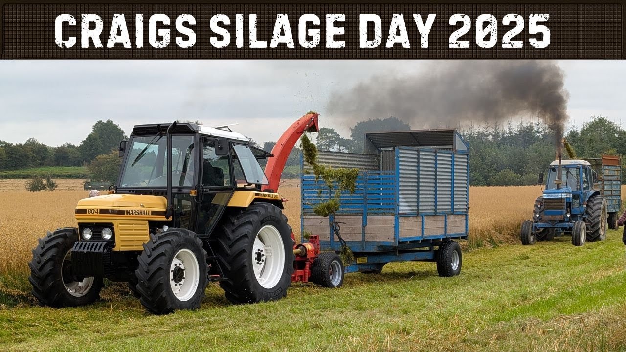 Classic Silage Day 2025 — Tractors and Double Chop Action from the Craigs Vintage Club